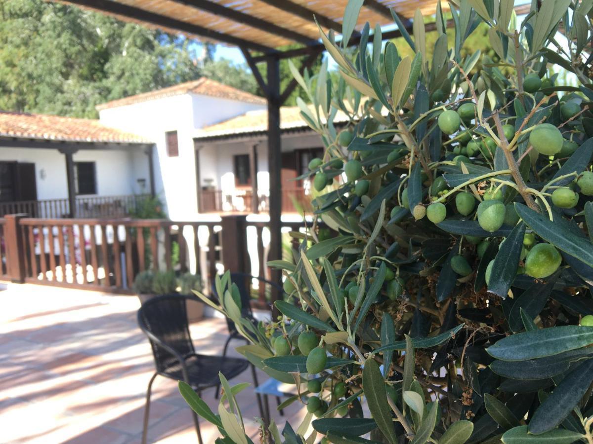 El Molino Estepona Exterior photo